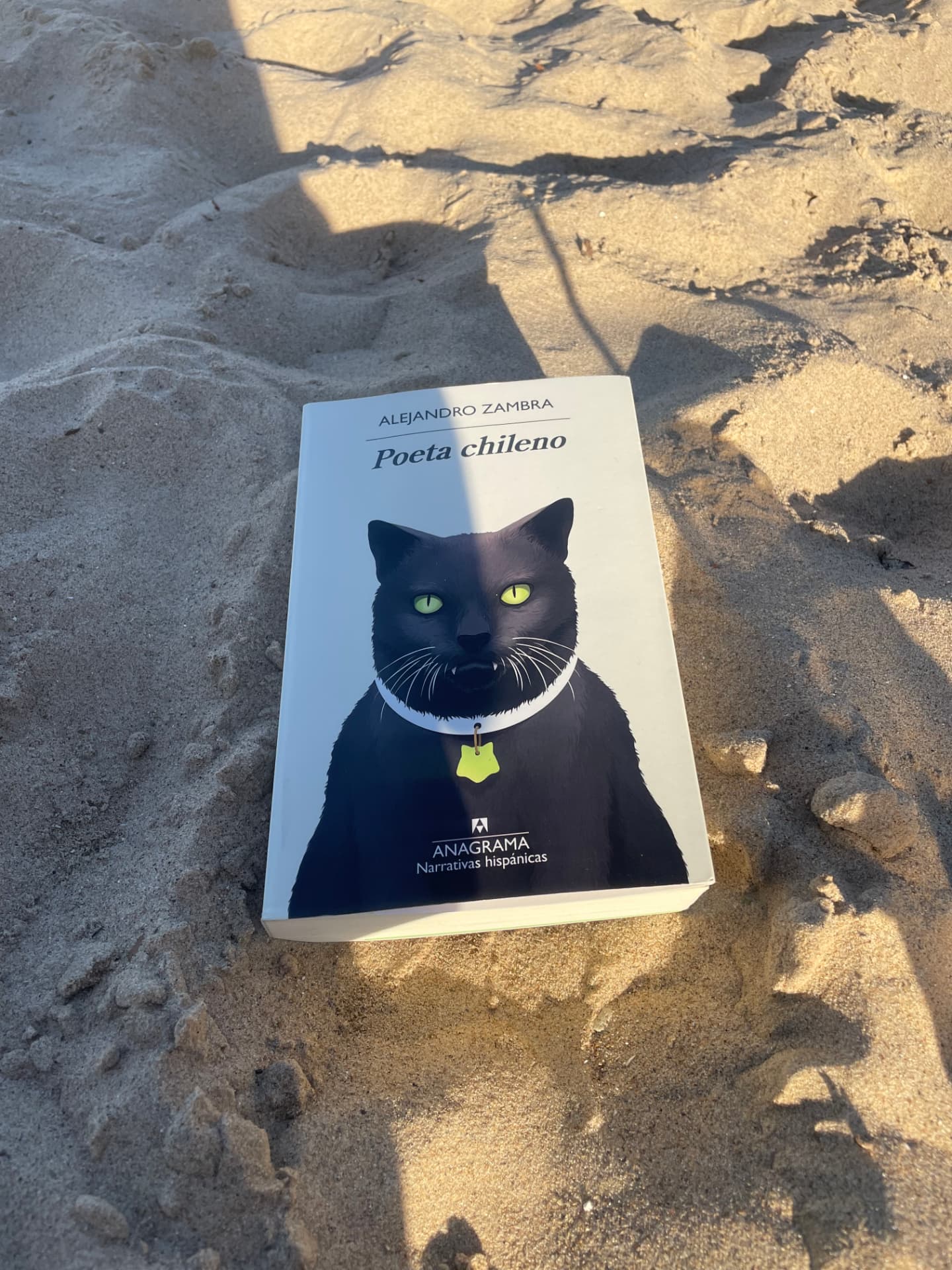 Poeta chileno by Alejandro Zambra, photographed by a community reader