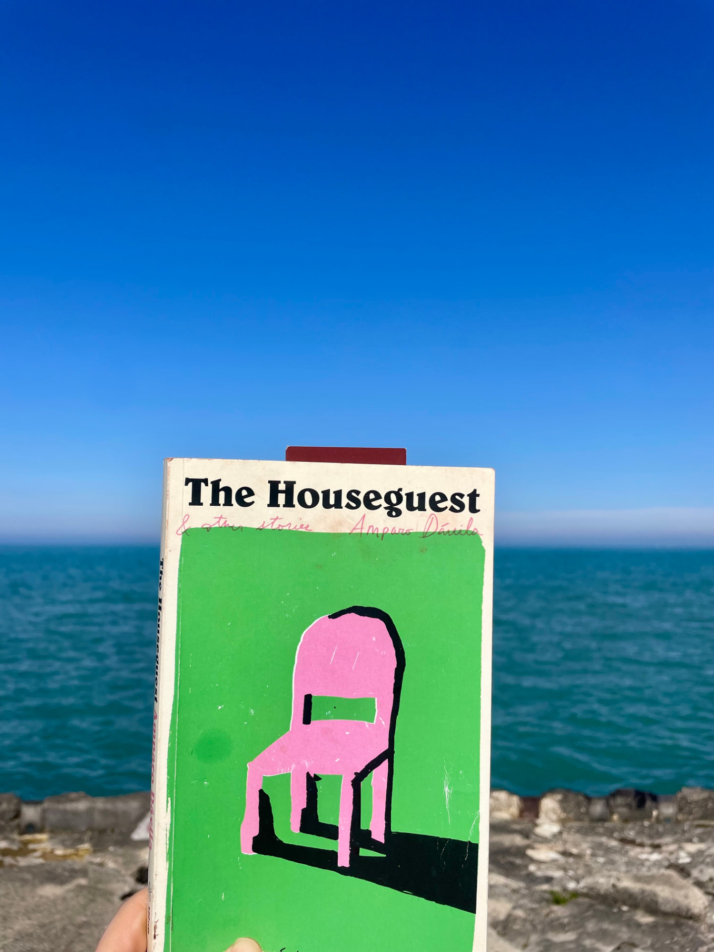 The Houseguest by Amparo Dávila, photographed by a community reader